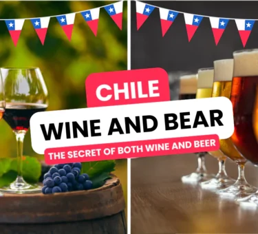 Chile: the secret of both wine and beer