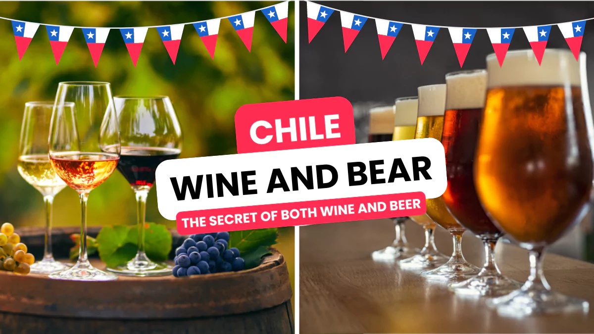 Chile: the secret of both wine and beer