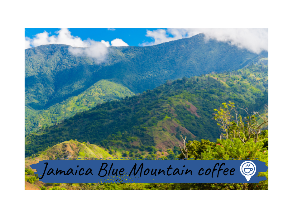 jamaica blue mountain caffe