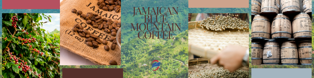 jamaican blue mountain cafee hosszu