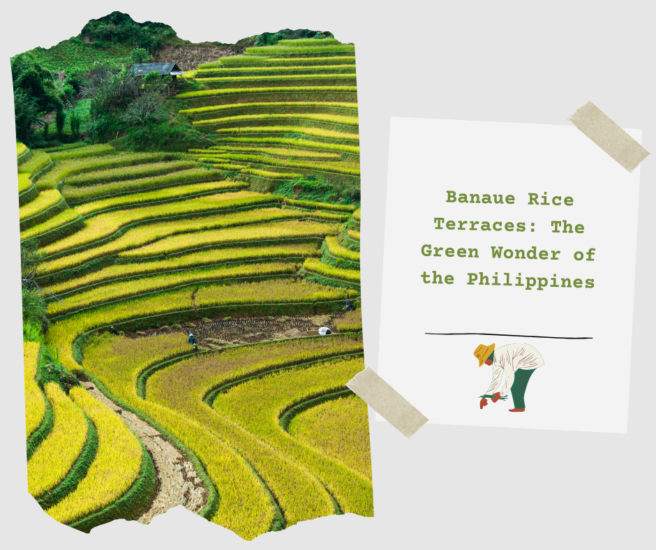 Plilippines Rice Rake Rice Terraces Banaue Philippines