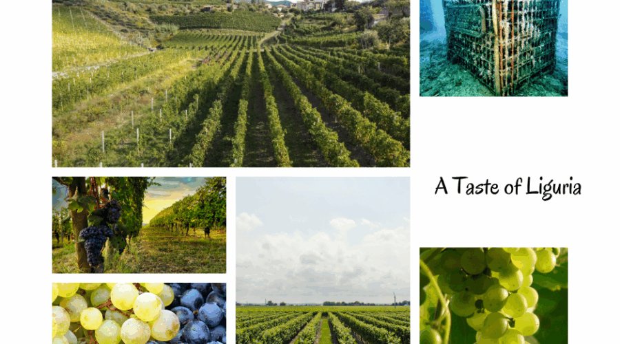 A Taste of Liguria