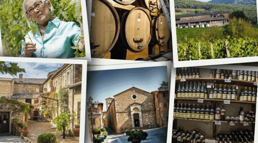 Brunello-di-Montalcino-Wine-Journey