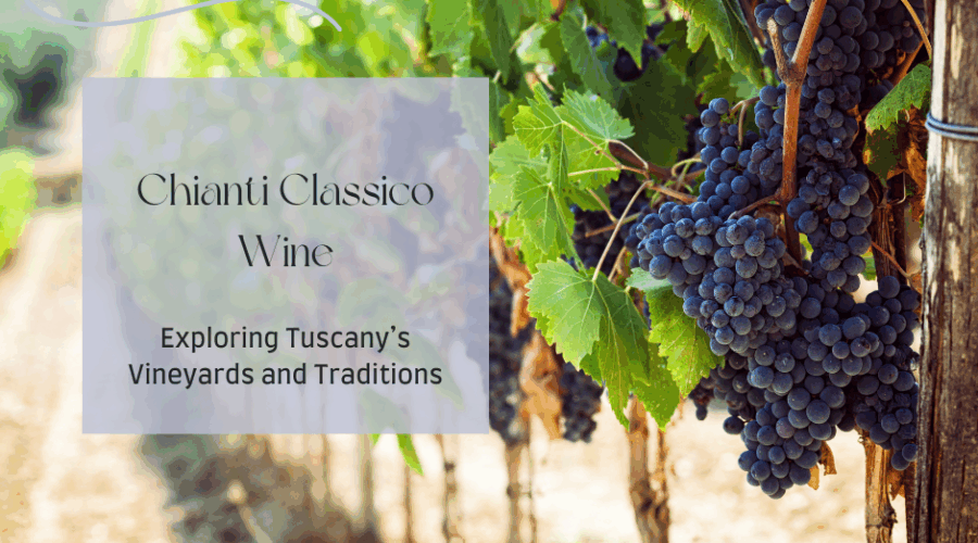 Chianti Classico Wine – Exploring Tuscany’s Vineyards and Traditions