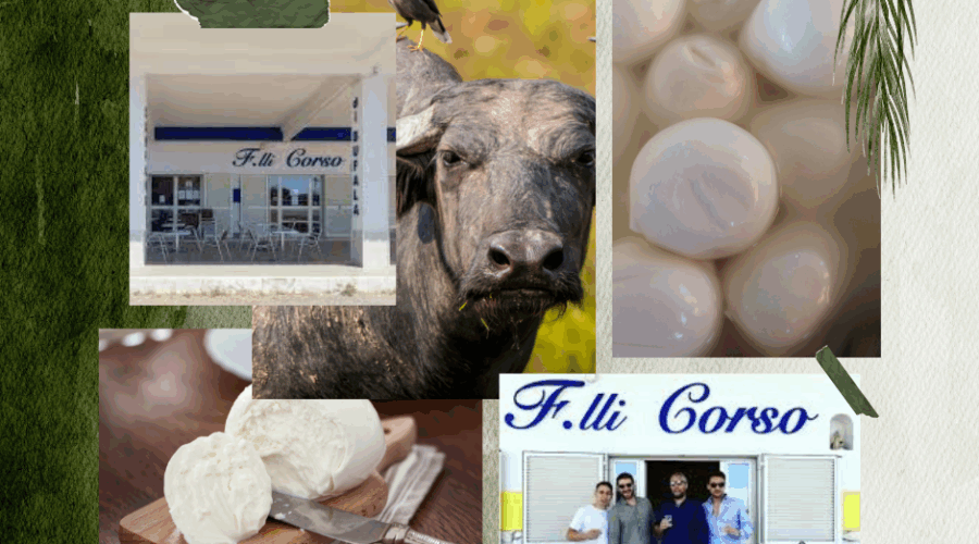 Mozzarella di Bufala in Tuscany