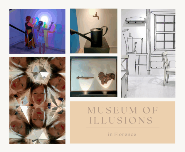 Museum of Illusions. borito