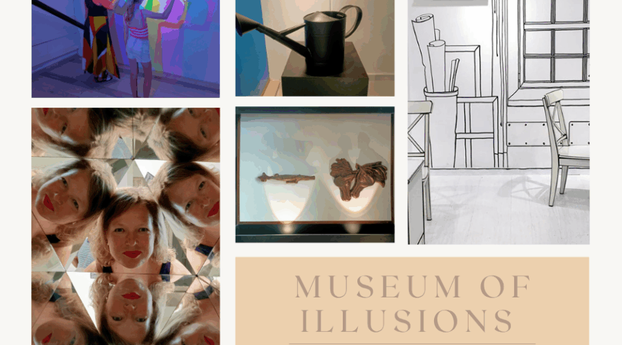 Museum of Illusions. borito
