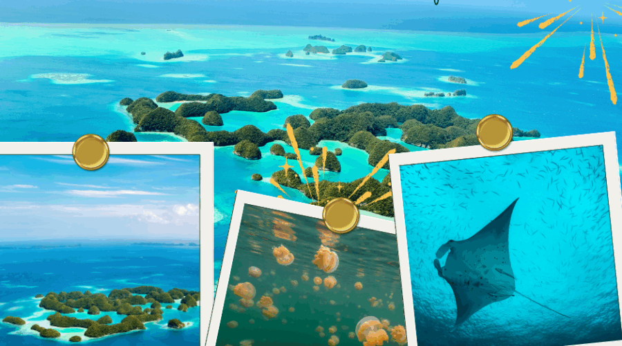 Palau – Our 72nd Port of Call