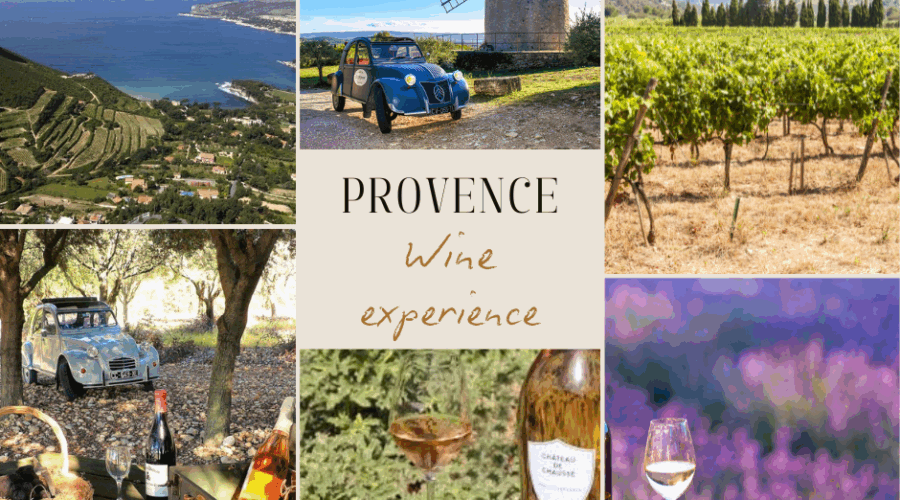 Provence wine experience