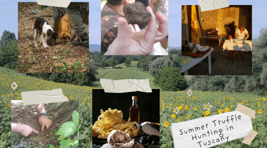 Summer Truffle Hunting in Tuscany