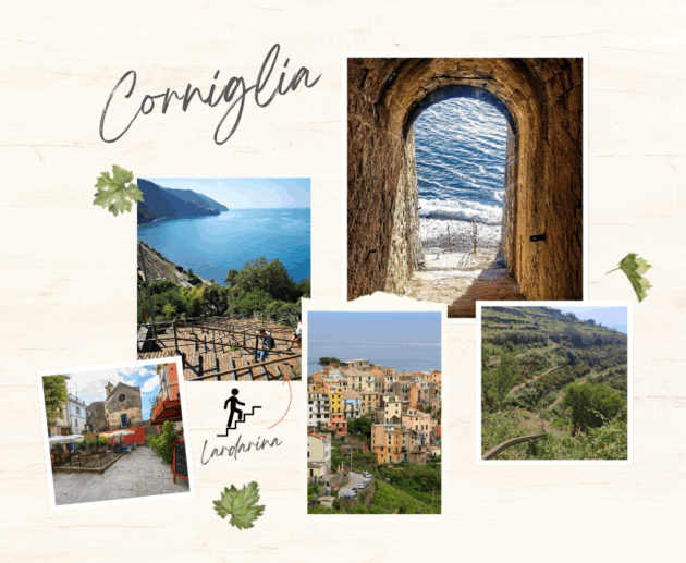 corniglia borito