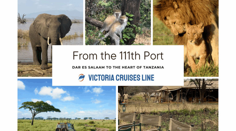 Dar es Salam from the 111 th Port