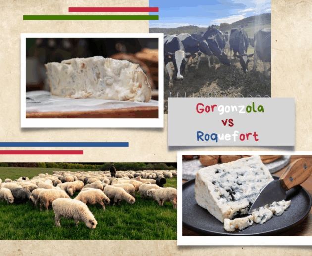 Discovering the World of Blue Cheese: From Roquefort to Gorgonzola