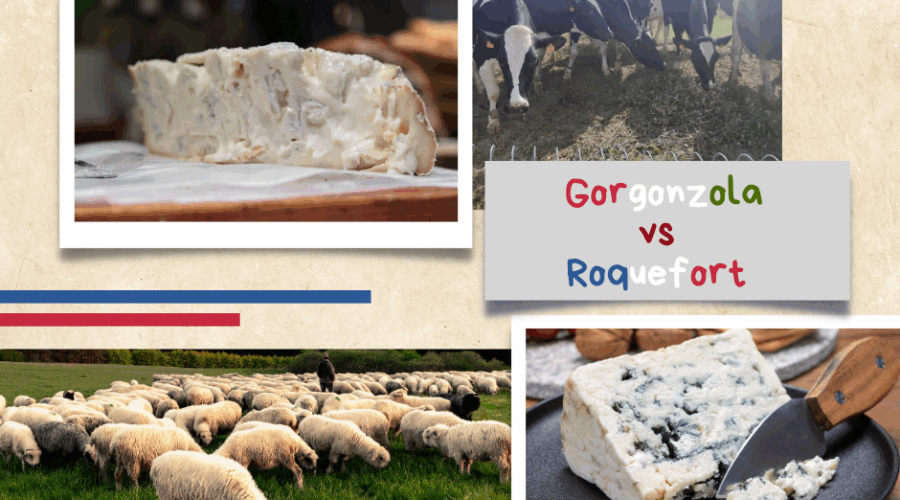 Discovering the World of Blue Cheese: From Roquefort to Gorgonzola