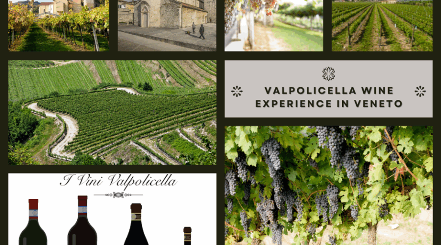 Valpolicella Wine Experience in Veneto