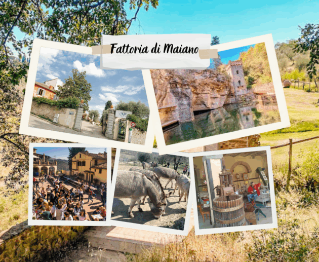 Fattoria di maiano