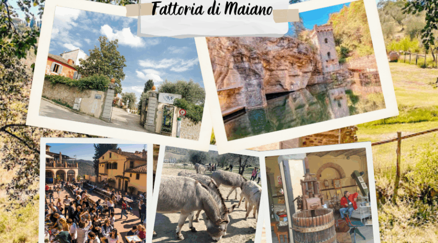 Fattoria di maiano