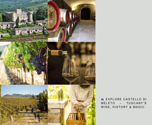 🍇 Explore Castello di Meleto – Tuscany’s Wine, History & Magic 🍷