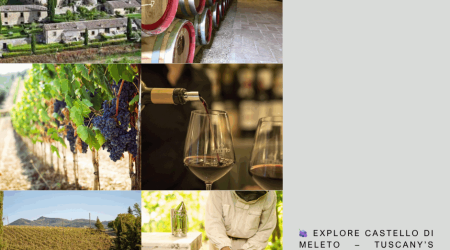 🍇 Explore Castello di Meleto – Tuscany’s Wine, History & Magic 🍷