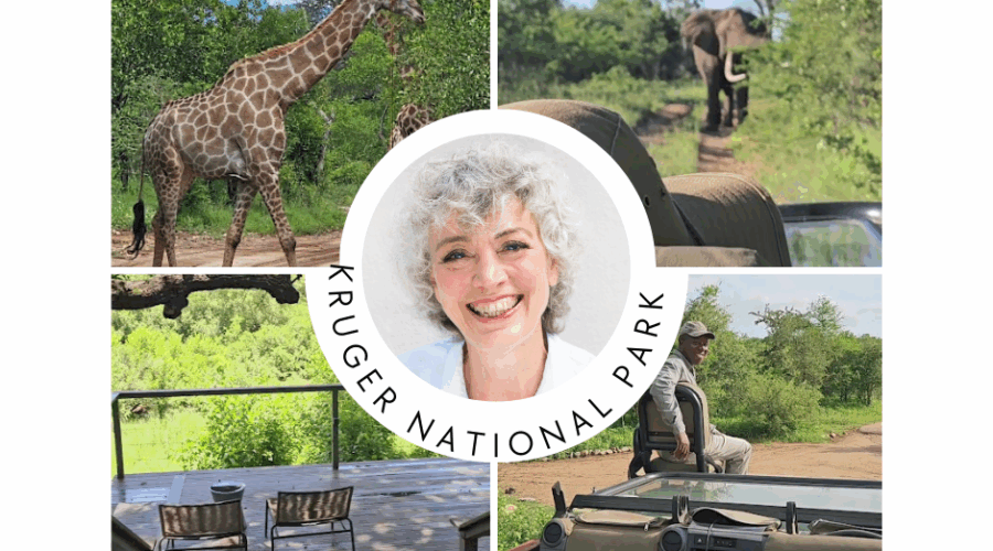 Kruger National Park – A Safari That Stays With You Forever