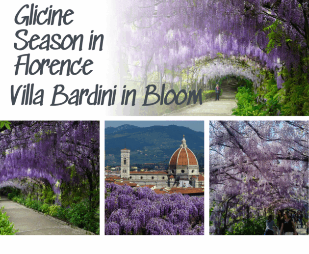 Glicine Season in Florence: Villa Bardini in Bloom