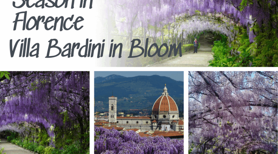 Glicine Season in Florence: Villa Bardini in Bloom
