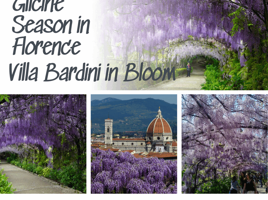 Glicine Season in Florence: Villa Bardini in Bloom