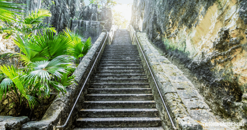 66 Steps Through History